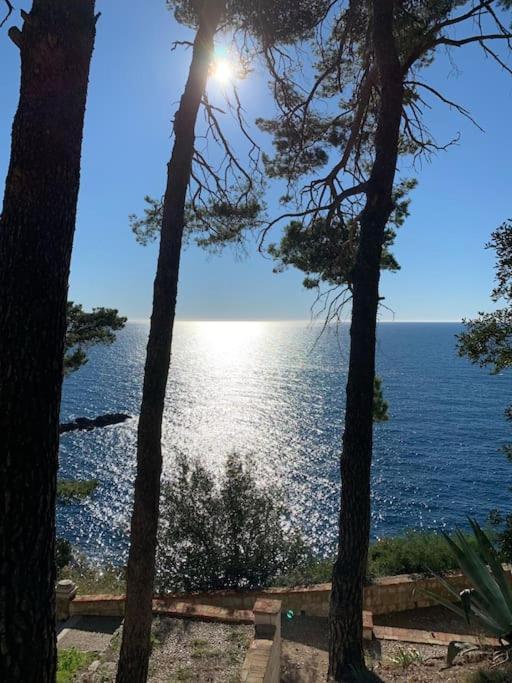 The Soldo'S Lejlighed Dubrovnik Eksteriør billede